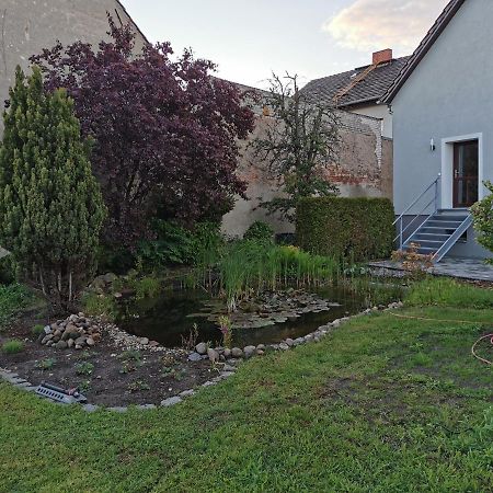 Fewo Rohleder De Mit 130M2 Und Garten Fuer 6Pers Mit 2 Bad Cottbus Kültér fotó