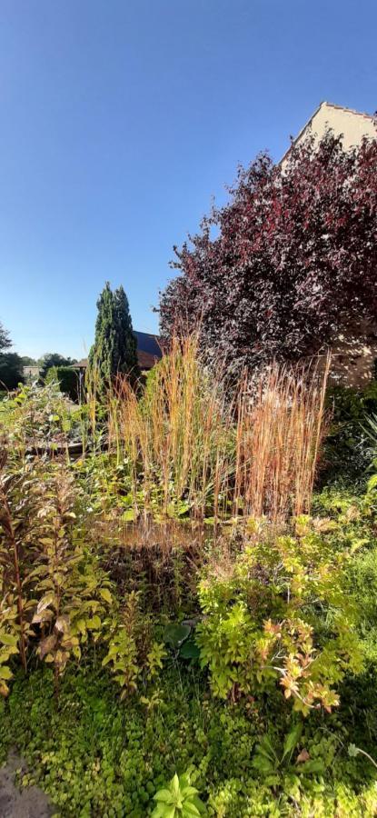 Fewo Rohleder De Mit 130M2 Und Garten Fuer 6Pers Mit 2 Bad Cottbus Kültér fotó